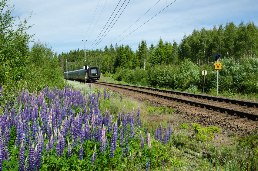 Tågluffa i Sverige