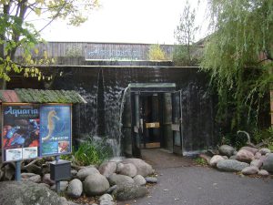 1280px-Sweden._Stockholm._Djurgården_021