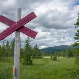 Jobba i fjällen