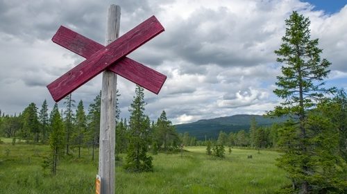 Jobba i fjällen